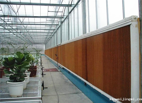 水帘的降温效果怎么样